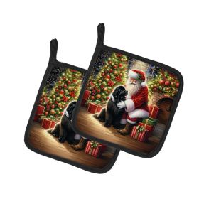 Newfoundland and Santa Claus Pair of Pot Holders Kitchen Heat Resistant Pot Holders Sets Oven Hot Pads for Cooking Baking BBQ, 7 1/2 x 7 1/2