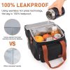 17L Expandable Insulated Lunch Box Bag for Women/Men, Leak-Proof & Freezer-Safe, Double Deck Design with Adjustable Shoulder Strap & Side Pocket for W