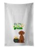 NEW Red Dachshund St. Patrick's Day Kitchen Towel Set of 2 White Dish Towels Decorative Bathroom Hand towel for Hand, Face, Hair, Yoga, Tea, Dishcloth