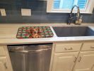 Longhaired Red Dachshund Christmas PoinsettIas Dish Drying Mat Absorbent Dish Drying Mat Pad for Kitchen Counter Dish Drainer Mat for Countertop