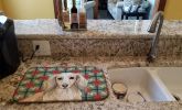 Longhaired Cream Dachshund Christmas PoinsettIas Dish Drying Mat Absorbent Dish Drying Mat Pad for Kitchen Counter Dish Drainer Mat for Countertop