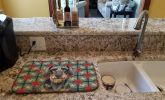 Wirehaired Wild Boar Dachshund Christmas PoinsettIas Dish Drying Mat Absorbent Dish Drying Mat Pad for Kitchen Counter Dish Drainer Mat for Countertop