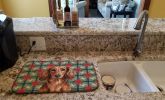 Longhaired Red Dachshund Christmas PoinsettIas Dish Drying Mat Absorbent Dish Drying Mat Pad for Kitchen Counter Dish Drainer Mat for Countertop