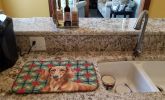 Red Brown Dachshund Christmas PoinsettIas Dish Drying Mat Absorbent Dish Drying Mat Pad for Kitchen Counter Dish Drainer Mat for Countertop, 14 x 21"