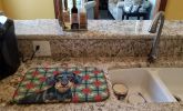 Wirehaired Black and Tan Dachshund Christmas PoinsettIas Dish Drying Mat Absorbent Dish Drying Mat Pad for Kitchen Counter Dish Drainer Mat for Counte