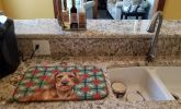 Wirehaired Red Dachshund Christmas PoinsettIas Dish Drying Mat Absorbent Dish Drying Mat Pad for Kitchen Counter Dish Drainer Mat for Countertop