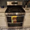 Summer Sunflowers Wirehair Red and Tan Dachshund Kitchen Towel Dish Cloths Guest Hand Towel Decorative Bathroom Towel for Face,Tea, Dishcloth